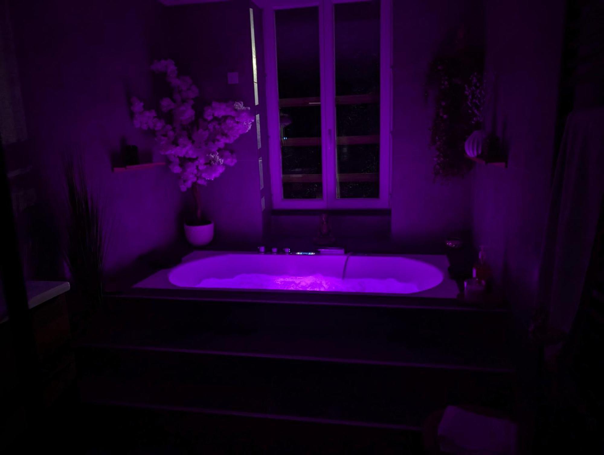Le Spa - Villa Valmy - Hypercentre - Gare Sncf Montlucon Luaran gambar